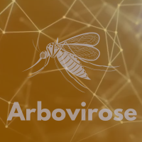 ARBOVIROSE